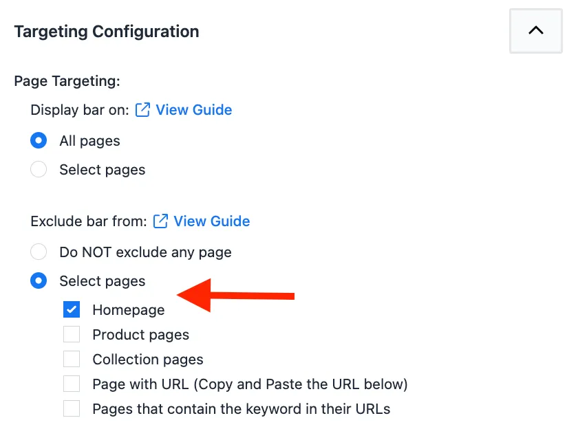 Exclusion panel with Homepage selected to prevent the bar from appearing on the homepage