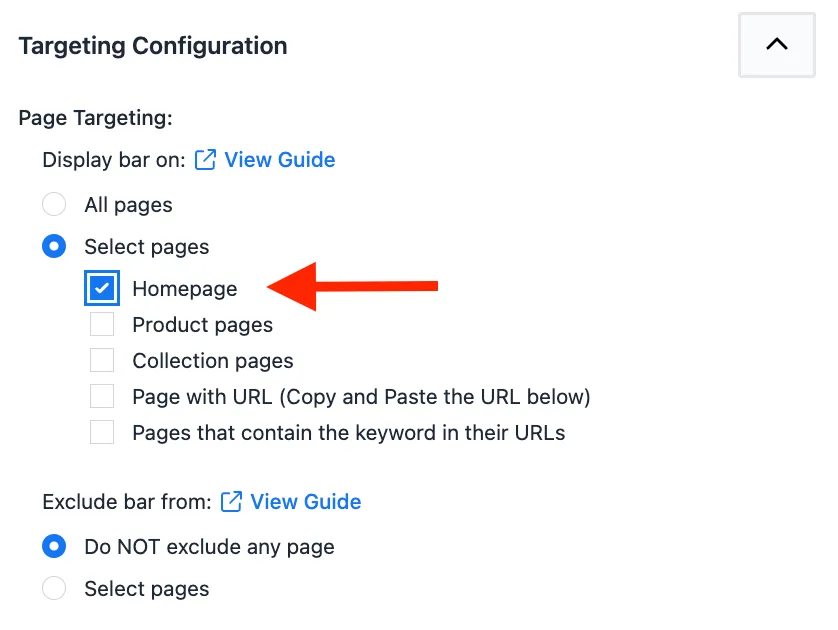 Homepage option selected under the Display bar on targeting settings