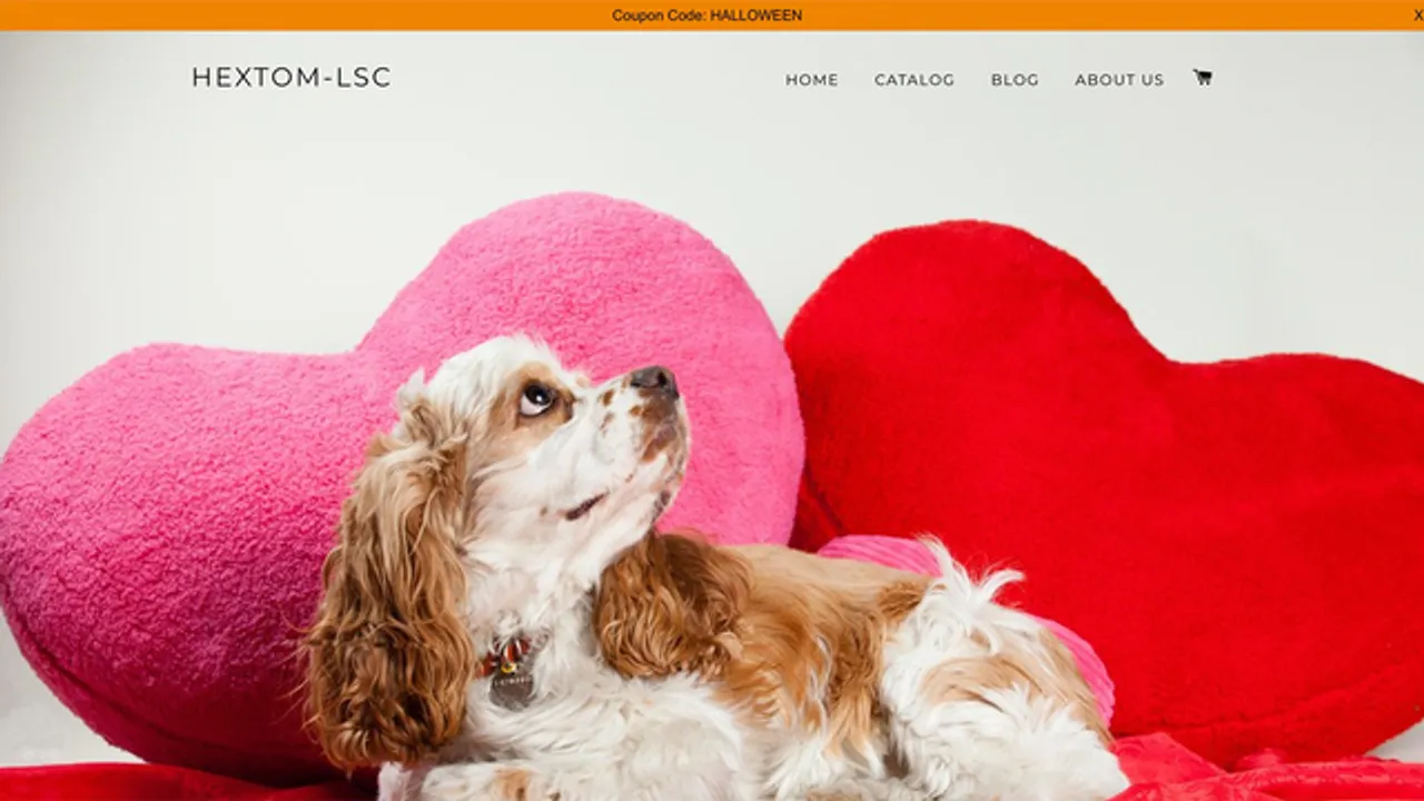 Last Second Coupon ‑ Exit Pop screenshot 2